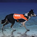 Illumiseen Reflektierende LED Hunde-Warnweste