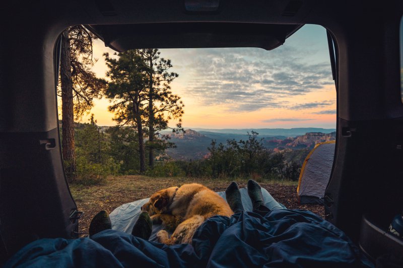 Beim campen mit Hund möchte Dein Vierbeiner in Deiner Nähe schlafen