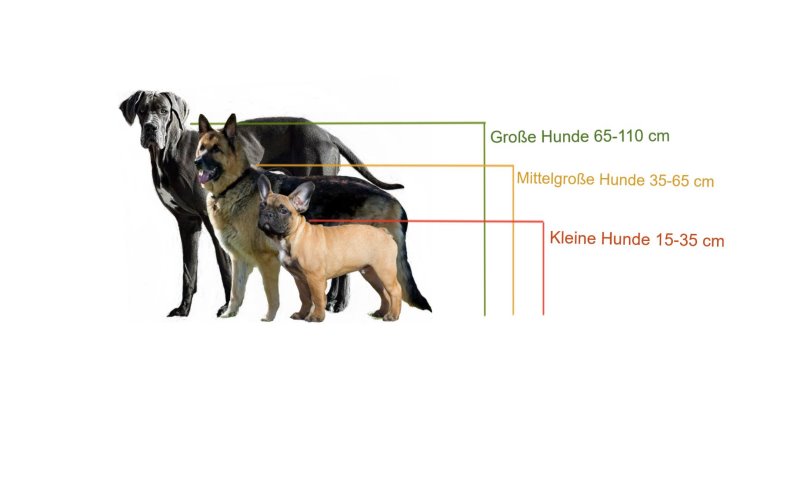 Übersicht über die verschiedenen Hundegrößen