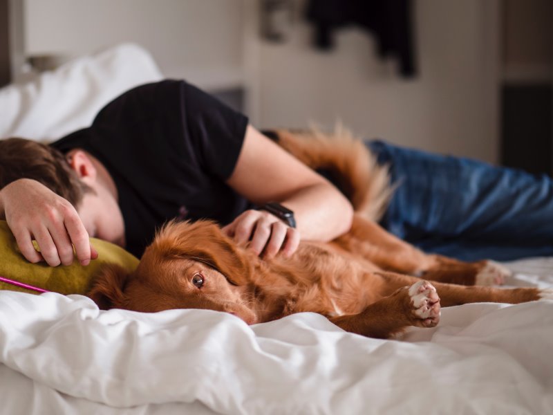 Hund und Mensch kuscheln