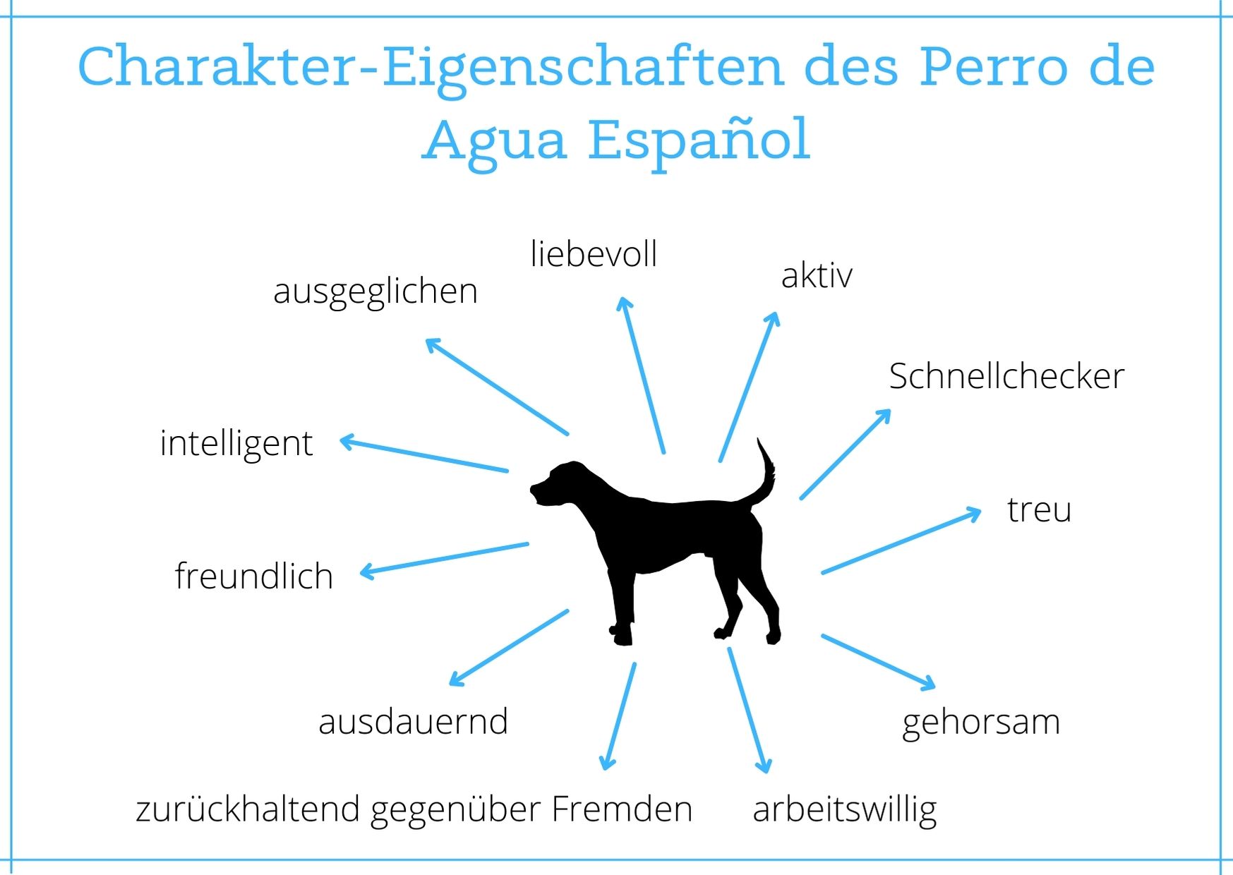 Überblick Charktereigenschaften Spanischer Wasserhund