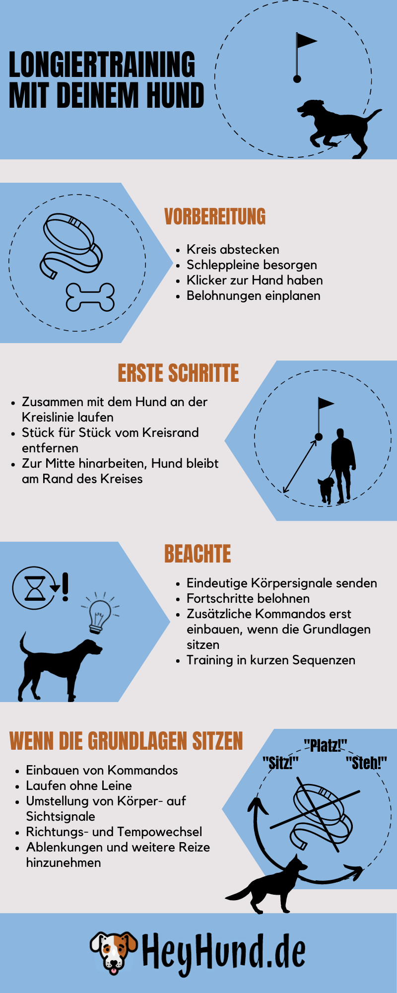 Infografik Anleitung Longiertraining mit Hund