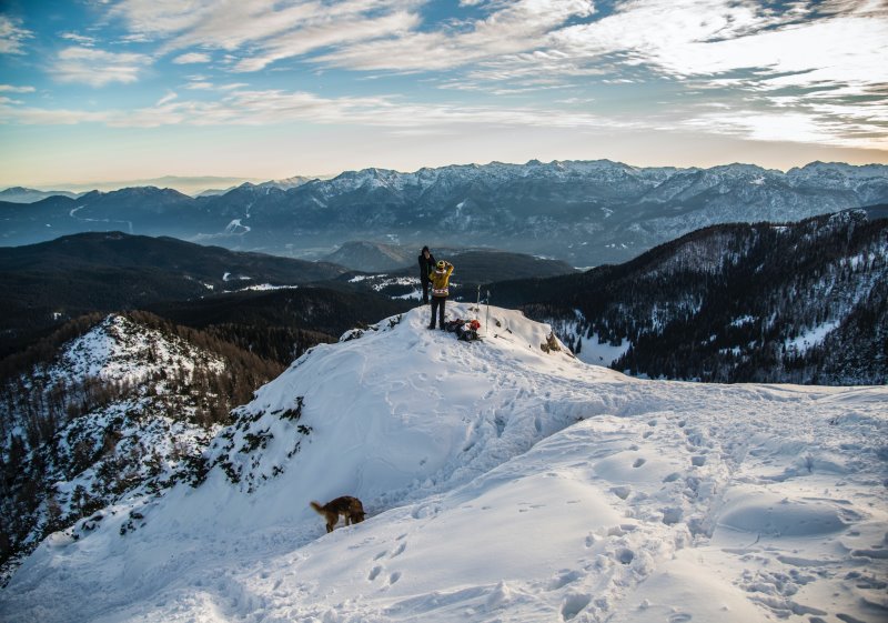 Wandern mit dem Hund in den Bergen mit Schnee