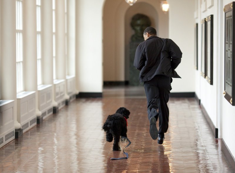 Barack Obama mit Hund Bo