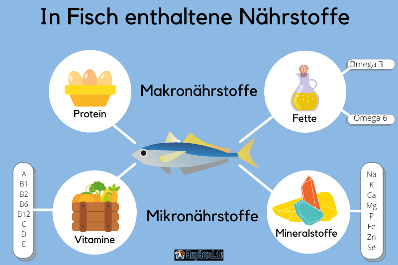 Infografik Nährstoffe in Fisch