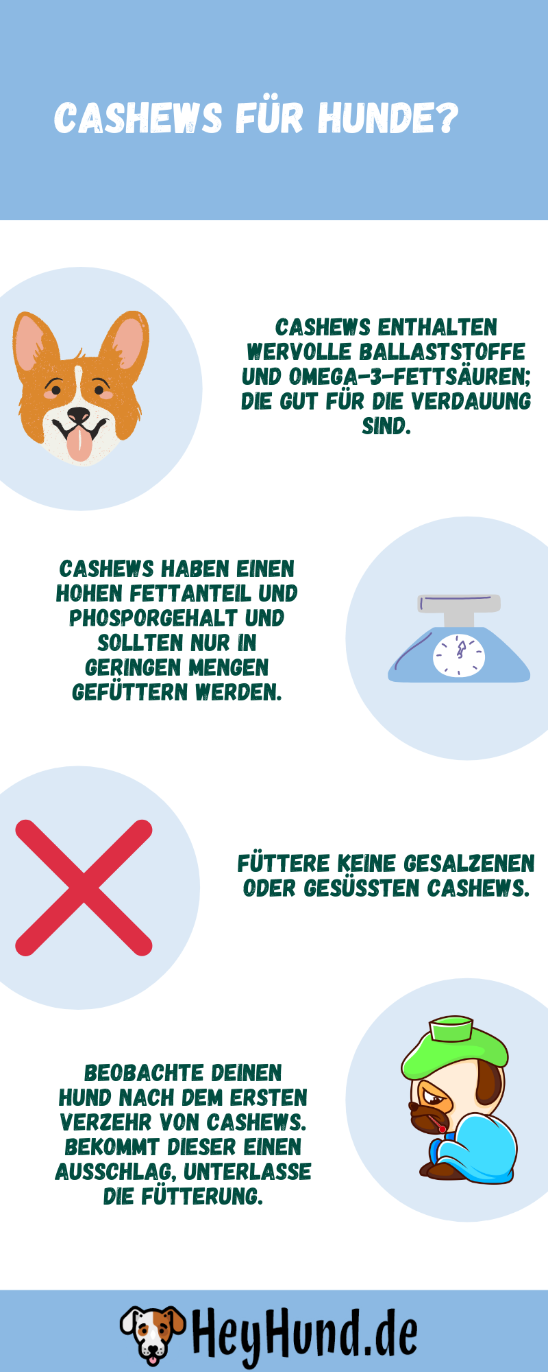 Infografik zur Verfütterung von Cashews an Hunde