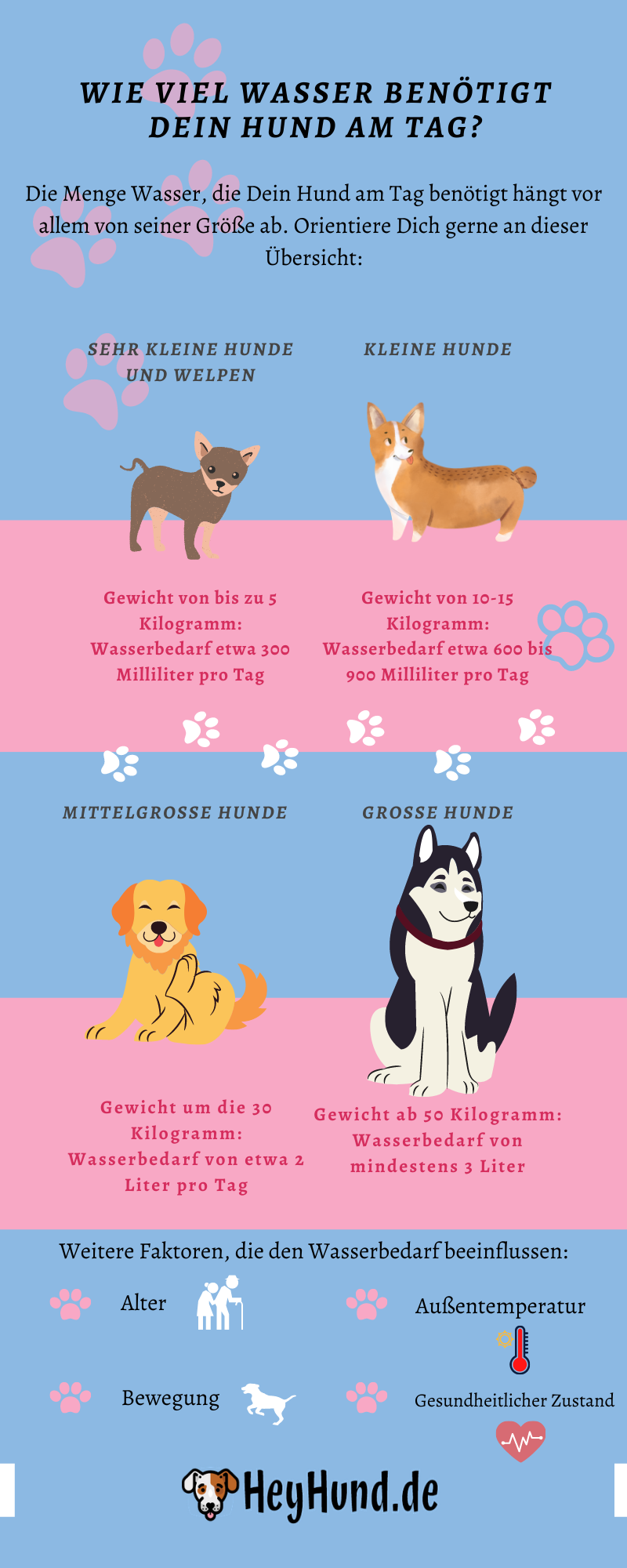 hundetrinkflasche-infografik