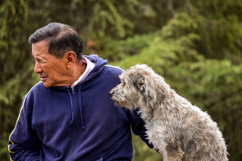 Alter Mann mit Hund schaut in die Ferne