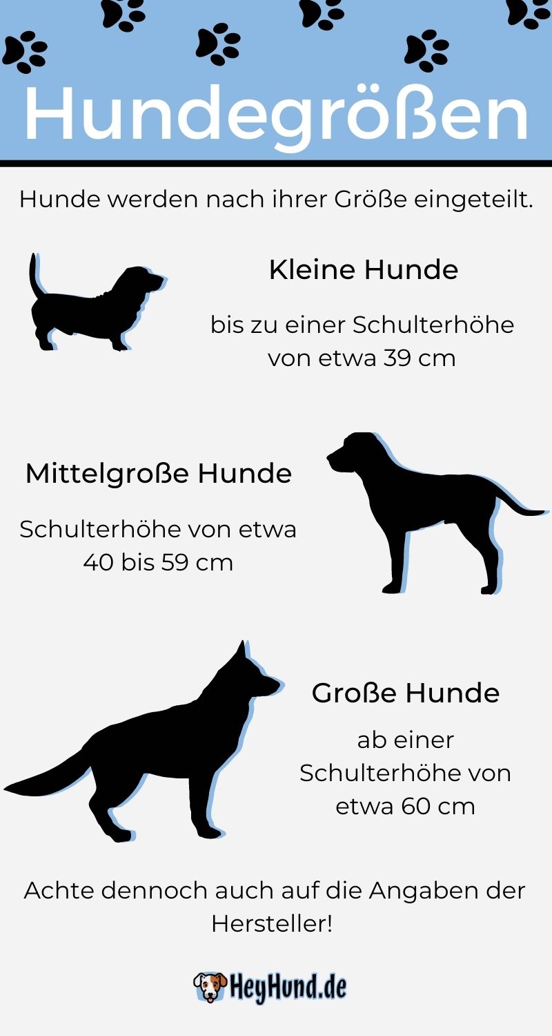 Hundegrößen Infografik.